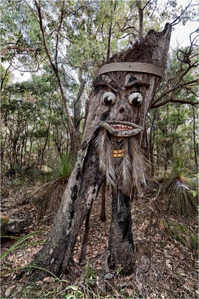 Photograph Des Kleineibst Forest Man on One Eyeland